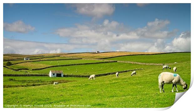 North Pennines Landscape Print by Martyn Arnold