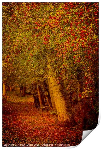 Artistic Autumn Woodland Print by Martyn Arnold