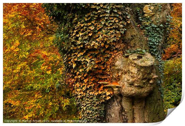 Autumn's Colours Print by Martyn Arnold