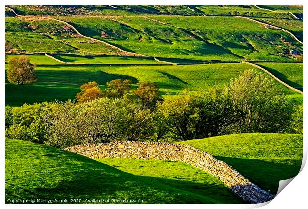 Swaledale Stone Walls Print by Martyn Arnold