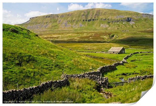 Pen-y-ghent, Yorkshire Dales Print by Martyn Arnold