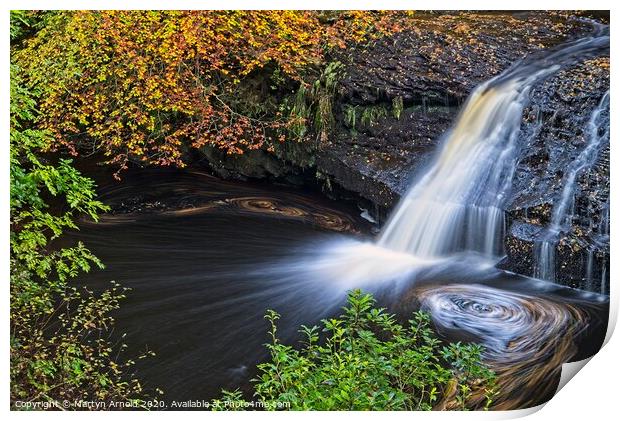 Hamsterley Forest Woodland Waterfall Print by Martyn Arnold
