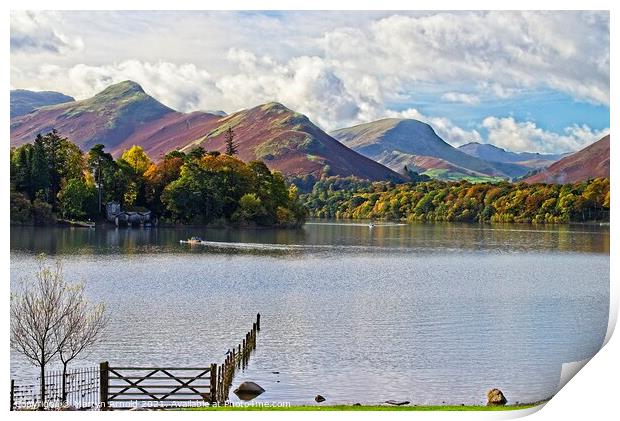 Catbells Fell and Skelgill across Derwentwater Print by Martyn Arnold