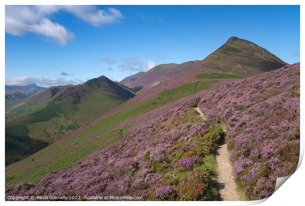 The Path to Causey Pike Print by Paula Connelly