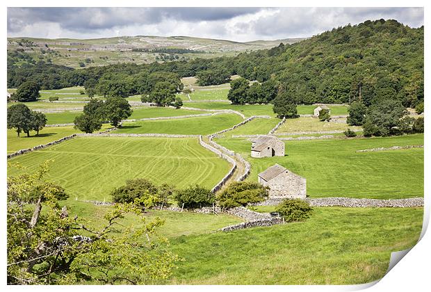 Yorkshire Dales Landscape Print by Paula Connelly