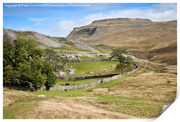 Ingleborough in the Yorkshire Dales Print by Paula Connelly