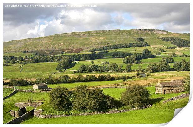 Wensleydale Print by Paula Connelly