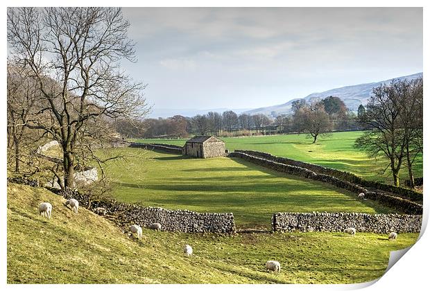 Yorkshire Dales Landscape Print by Paula Connelly