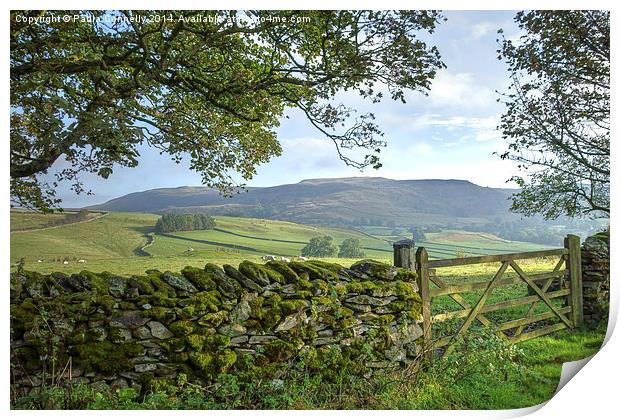  Yorkshire Dales View Print by Paula Connelly