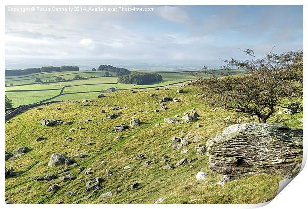  Yorkshire Dales View Print by Paula Connelly