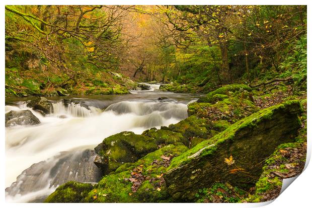 Late Autumn at Watersmeet Print by Lee Thorne