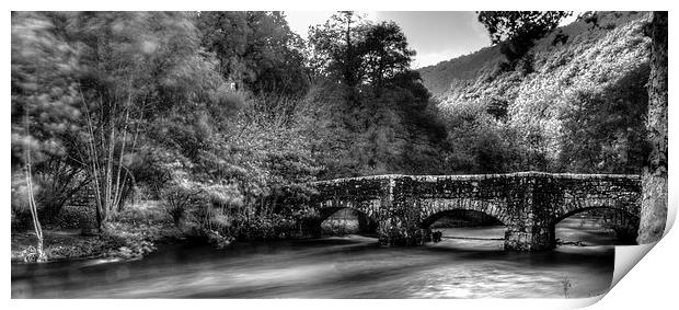 Fingle Bridge in the Autumn Print by James Cheesman