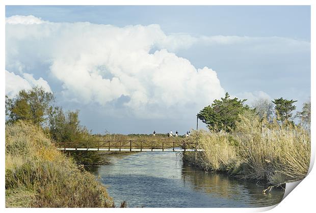 Riding white horses by canal Print by Jean Gill