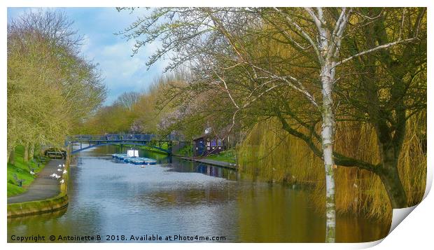 Hythe Royal Military Canal Print by Antoinette B