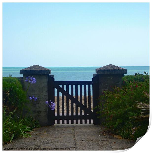 The gate by the sea  Print by Antoinette B
