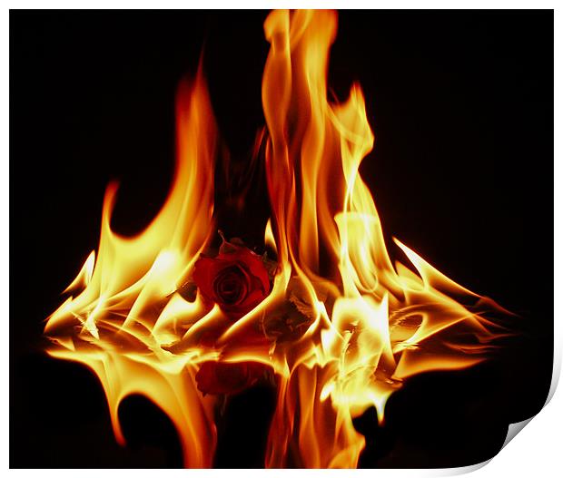 The Burning Fire Of Love Print by Tony Fishpool