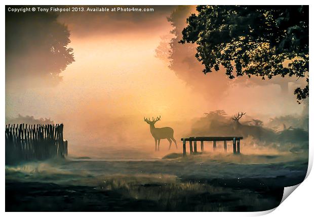 Deers In The Mist Print by Tony Fishpool