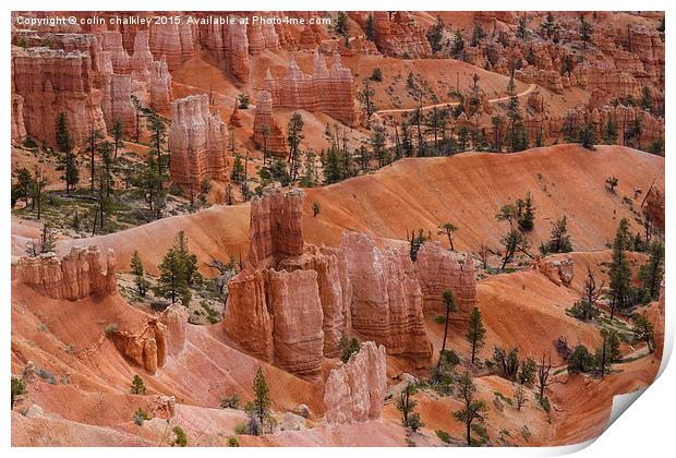  Bryce Canyon Print by colin chalkley