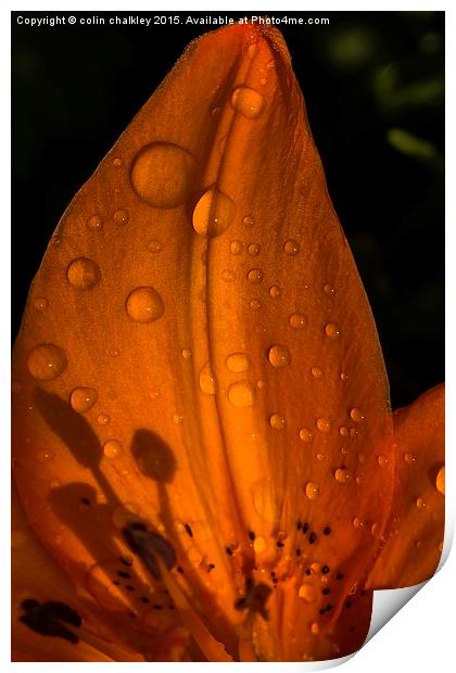  Raindrops and Shadows Print by colin chalkley