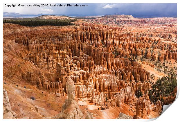  Bryce Canyon Park Hoodoos Print by colin chalkley