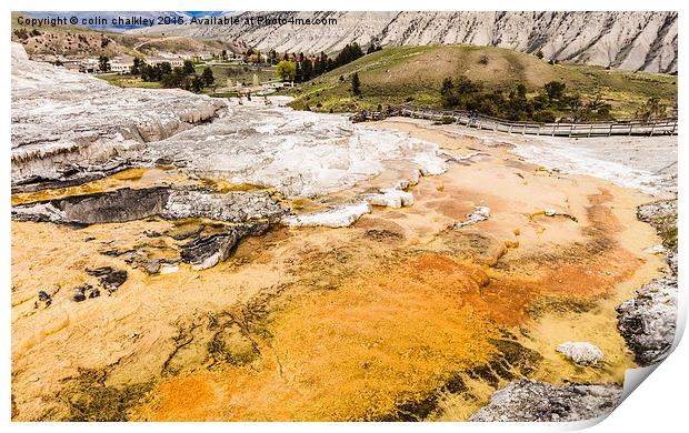  Minerva Terrace - Yellowstone Park Print by colin chalkley