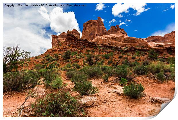 Landscape in Arches National Park, USA Print by colin chalkley