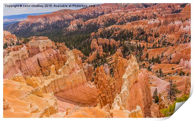   Bryce Canyon - USA Print by colin chalkley
