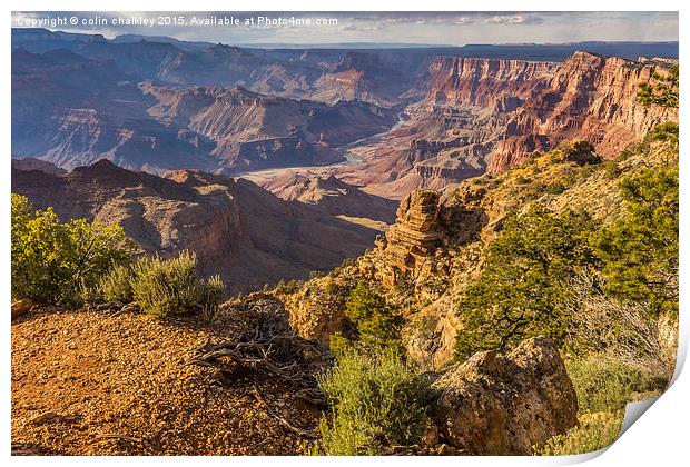  Sunset in the Grand Canyon - Southern Rim Print by colin chalkley