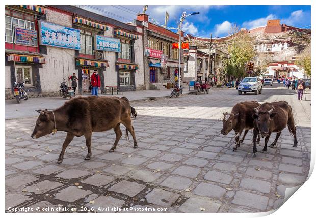 Main Road in Gyantse, Tibet Print by colin chalkley