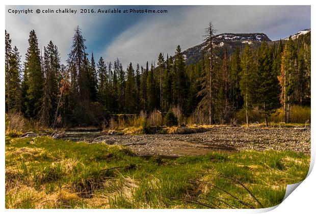 Yellowstone Landscape Print by colin chalkley
