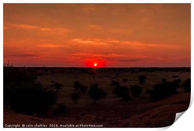 Sunset in Etosha National Park Print by colin chalkley