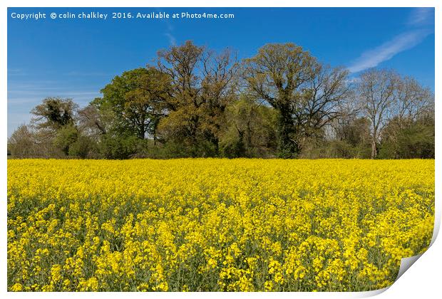Oxfordshire Countryside Print by colin chalkley