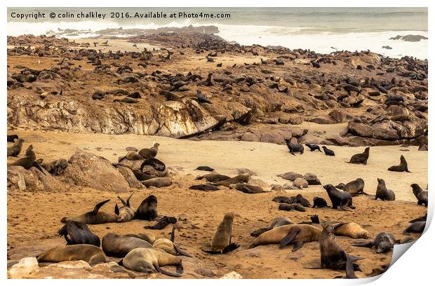 Cape Cross Fur Seals - Namibia Print by colin chalkley