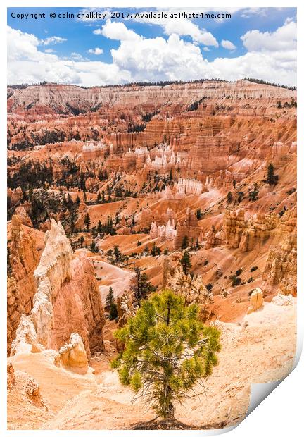 Enchanted Bryce Canyon Hoodoos Print by colin chalkley