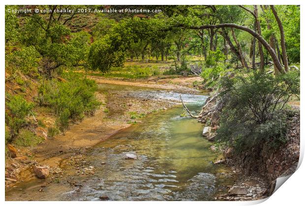 Zion National Park USA Print by colin chalkley