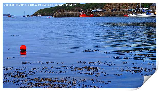  Fishguard Harbour Print by Barrie Foster