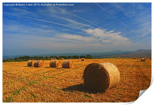  Preseli Backdrop Print by Barrie Foster