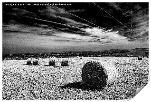 Preseli Backdrop #1 Print by Barrie Foster