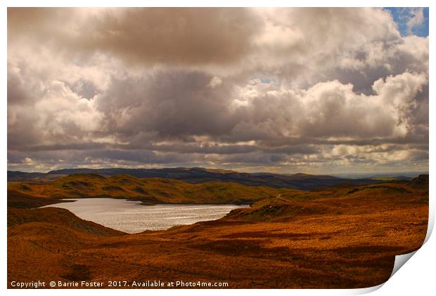 Llyn Teifi Print by Barrie Foster