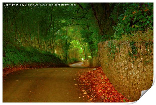  The Winding Lanes of Gower Print by Tony Dimech