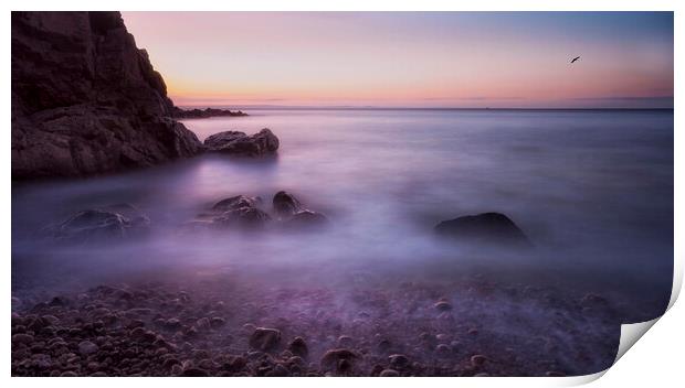 Donkey Rock at Rotherslade Bay Print by Leighton Collins