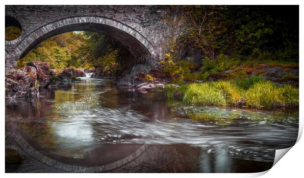 Cenarth bridge reflection Print by Leighton Collins