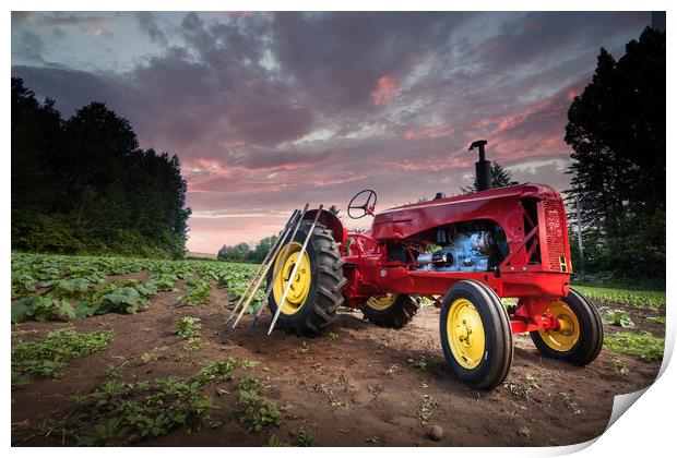 Red tractor in field Print by Leighton Collins