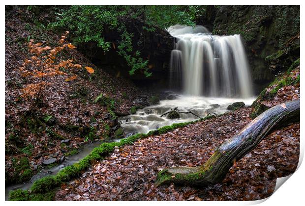 Longford waterfall Print by Leighton Collins