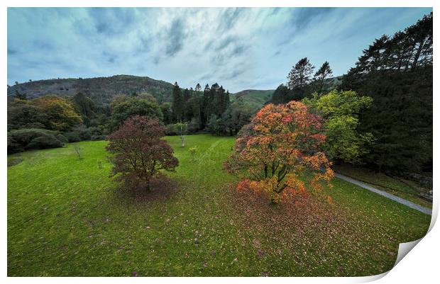 An Autumn landscape Print by Leighton Collins