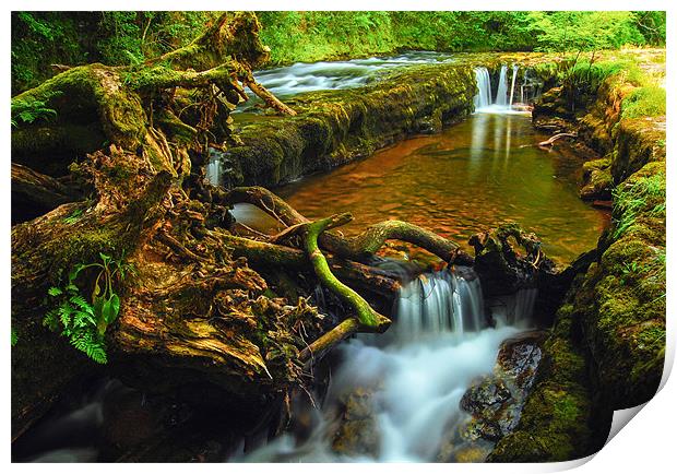 Waterfall county, South Wales Print by Leighton Collins