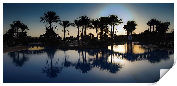 Palm tree swimming Pool Print by Leighton Collins