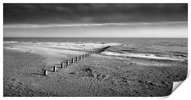 Skegness beach poles Print by Leighton Collins