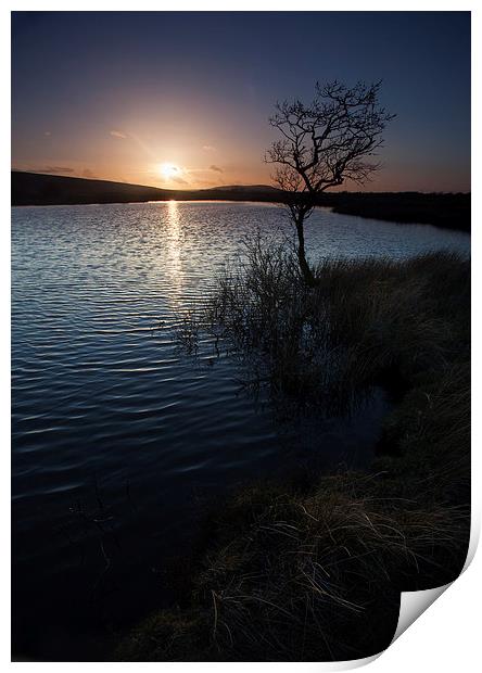 Broad Pool North Gower Print by Leighton Collins