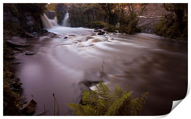 Penllergaer waterfall Swansea Print by Leighton Collins